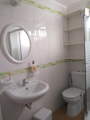 a bathroom with a sink and a toilet and a mirror at Apartamento El Almendrero in El Pueblo