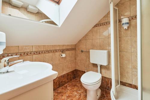 a bathroom with a toilet and a sink at Rooms & Restaurant Ostarija in Dolenjske Toplice