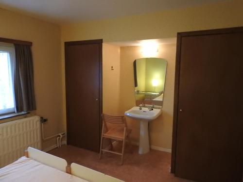 a bathroom with a sink and a mirror at Ancien relais de la diligence in Sart