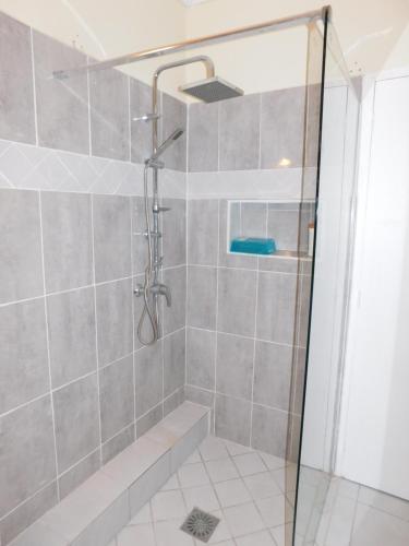 uma casa de banho com um chuveiro e uma porta de vidro em Charmant petit T2 dans maison em Vieux Bourg