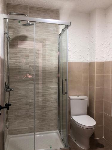 une salle de bains avec toilettes et douche en verre dans l'établissement casa de las Viñas 1 y 2, à Navaluenga