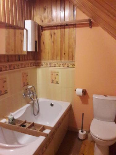 Siedlisko LILIJKA في Ościsłowo: حمام مع حوض استحمام ومرحاض