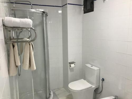 ein Bad mit einer Dusche, einem WC und Handtüchern in der Unterkunft 1.1 Apartamentos Arguiñan in Córdoba