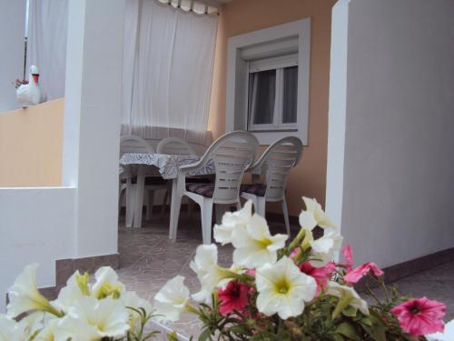 Gallery image of Apartmani Žana in Pirovac