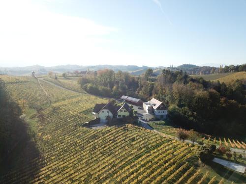 an aerial view of a house in the middle of a field at Weingut Schwarzl in Ratsch an der Weinstraße
