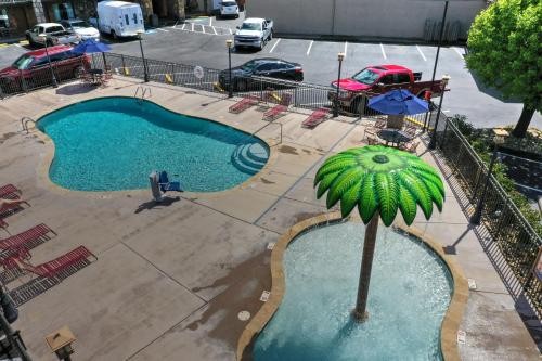 an overhead view of a swimming pool with a palm tree at Crossroads Inn & Suites in Gatlinburg