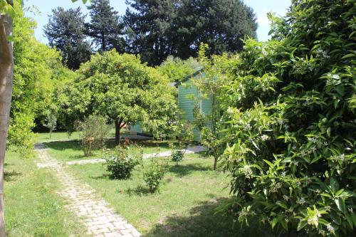 a garden with trees and a house in the background at Saklı Bahçe Pension in Cıralı