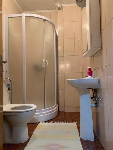 a bathroom with a shower and a toilet and a sink at Apartmani Alo Alo (kod Mikija) in Plav