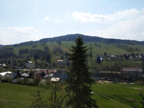 a small town in a green field with a tree at Apartmany Pohořaly in Rokytnice nad Jizerou