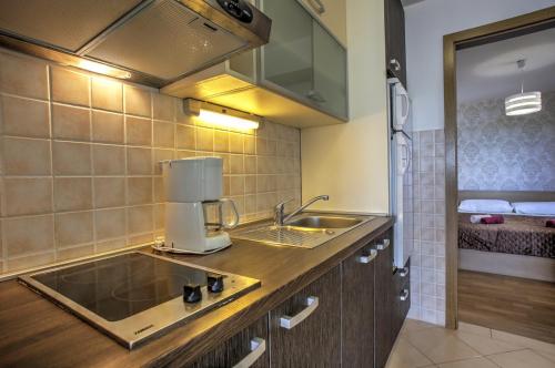 Kuchyň nebo kuchyňský kout v ubytování Apartment Ena 1