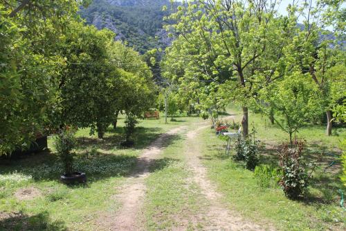 a dirt road through an orchard with trees at Saklı Bahçe Pension in Cıralı