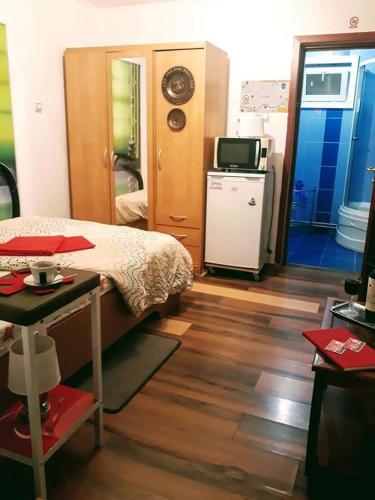 Dapur atau dapur kecil di Hostel Pascalis Alesd