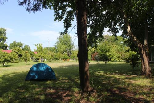 a blue tent in a park next to a tree at Saklı Bahçe Pension in Cıralı