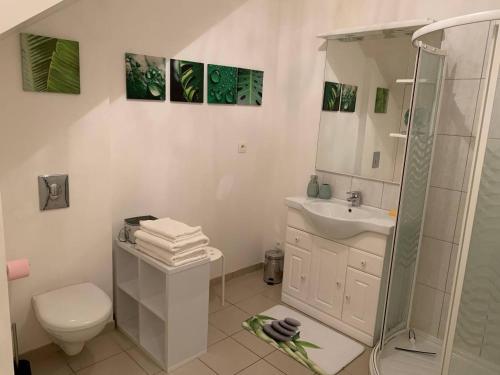 ein Badezimmer mit Toilette, Waschbecken und Dusche in der Unterkunft CHARMANT T2 PROCHE CENTRE VILLE PLAGE JARDIN DIOR 50 m2 in Granville