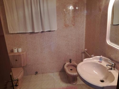 uma casa de banho com um lavatório e um WC em Casa dos Laços em Viseu
