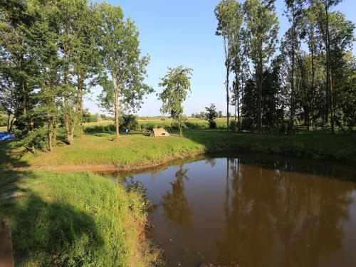 a river in a field with trees in the background at Pensjonat Bajdarka in Suraż