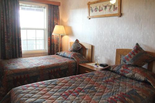 Forest Haven Inn – Photos 2