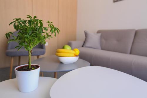 Χώρος καθιστικού στο Luxury Apartments Taša