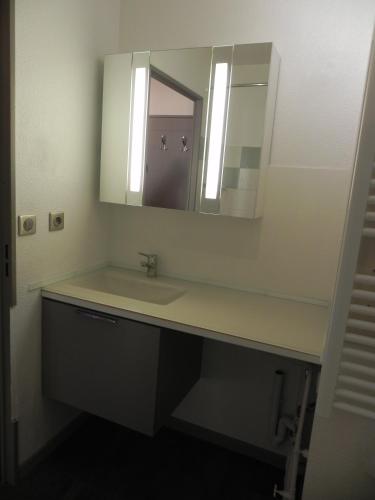 une salle de bain avec un lavabo et un miroir dans l'établissement Studio Ttikia, à Cambo-les-Bains