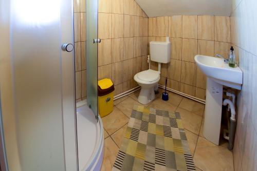 a small bathroom with a toilet and a sink at Casa de vacanta Jeny in Novaci-Străini