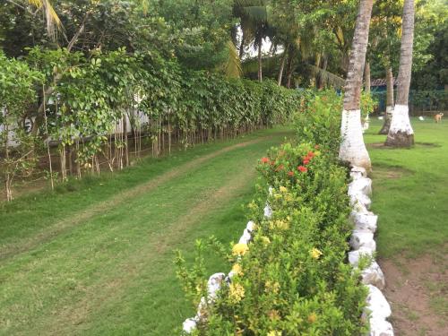 a row of bushes with flowers and palm trees at Cabaña La Niña Cande-Punta Bolivar in San Antero