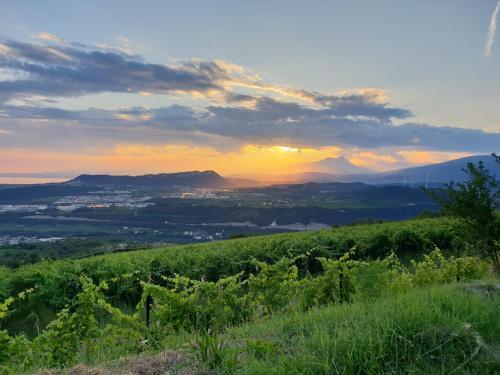 Foto "Cortela" appartameni in villetta singola 1