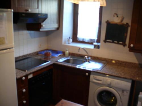 a kitchen with a sink and a washing machine at Apartamentos wifi Baqueira & Aigüestortes con jardín privado in Esterri d'Àneu