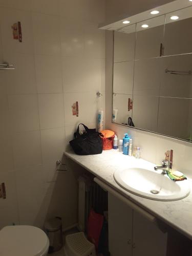 une salle de bain avec un lavabo et un miroir et des toilettes dans l'établissement Appartement 2 pièces Cap d'Agde, au Cap d'Agde