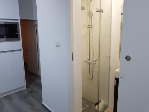 uma casa de banho com um chuveiro e uma porta de vidro em Vieira Apartments II em Setúbal