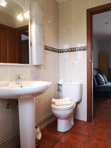 a bathroom with a toilet and a sink and a mirror at Apartamentos La Tarazana 2 in La Pereda de Llanes