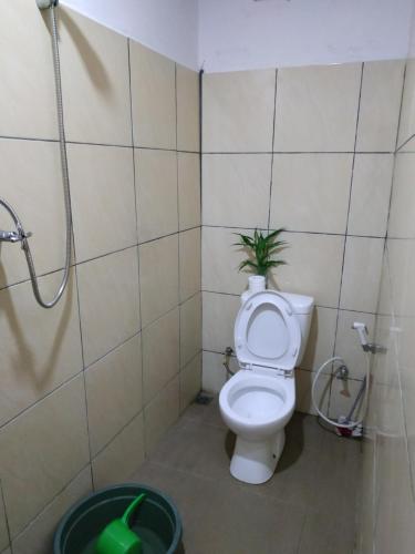 a bathroom with a toilet with a plant on it at Nayta villa Lolai toraja in Rantepao