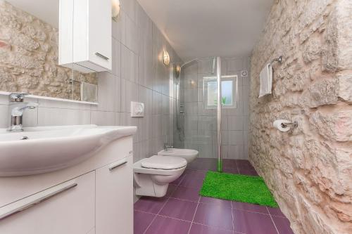 ein Bad mit einem Waschbecken, einem WC und einer Dusche in der Unterkunft House Darijo in Lokva Rogoznica