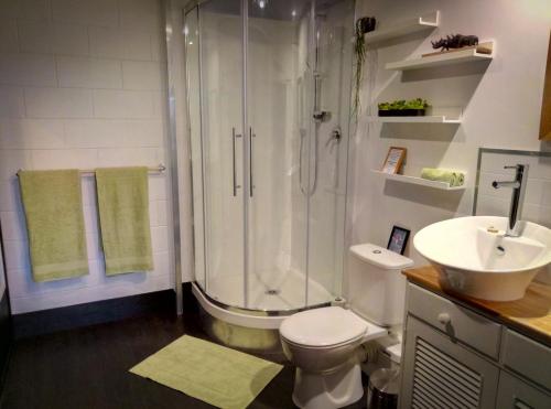 a bathroom with a shower and a toilet and a sink at Paeroa bed and breakfast in Paeroa