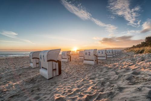 a row of beach chairs on a sandy beach at LOEV - VELA Hotels in Binz
