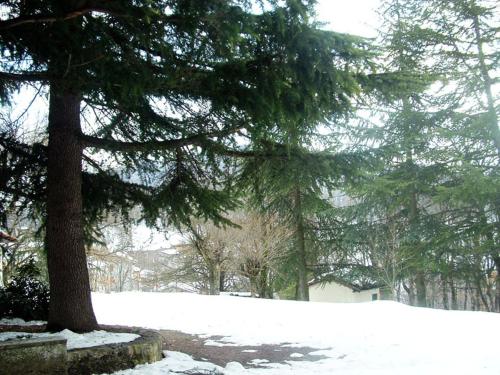 a snow covered yard with a tree and a house at Ca' Morano in Pavullo nel Frignano