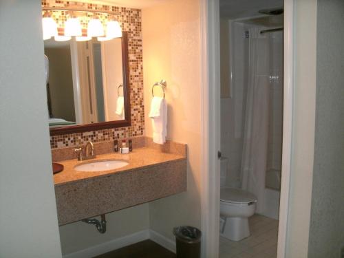 uma casa de banho com um lavatório, um WC e um espelho. em Merry Acres Inn em Albany