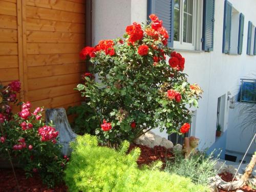 Taman di luar Ferienwohnung Weiser