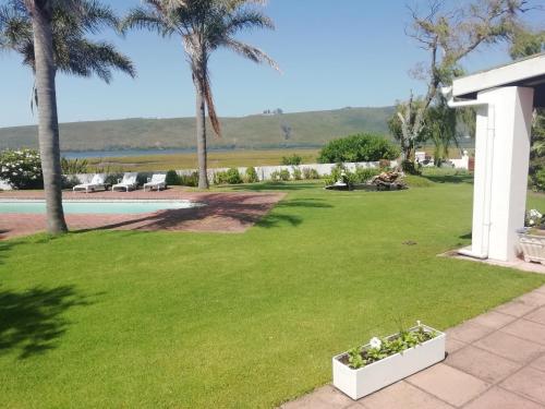 a lawn with palm trees and a swimming pool at Point Lodge Knysna in Knysna