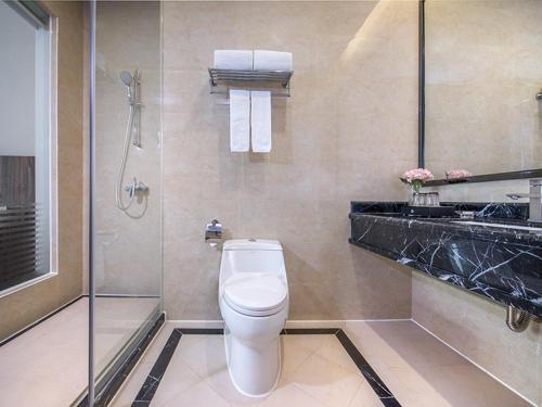 uma casa de banho com um chuveiro, um WC e um lavatório. em Vienna International Hotel Guangdong Puning Sqaure em Puning
