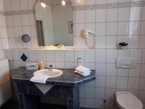 a bathroom with a sink and a mirror and a toilet at Hotel Jägerhof in Mayen