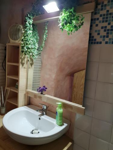 La salle de bains est pourvue d'un lavabo et d'un miroir orné de plantes. dans l'établissement ZEN HOUSE, à Gênes