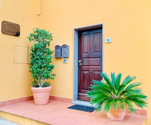 una casa con una porta e due piante in vaso di Carpe Diem a Olbia