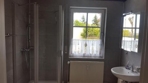 een badkamer met een douche, een wastafel en een raam bij Ferienwohnung Sonneneck in Insel Poel