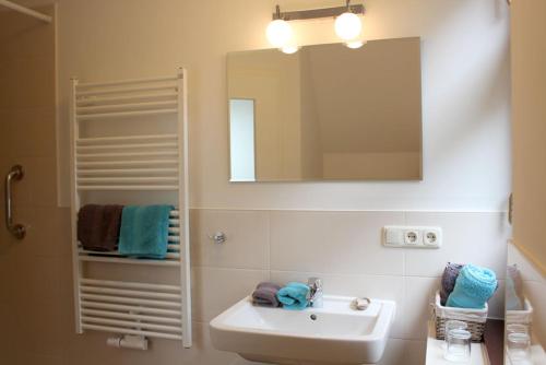a bathroom with a sink and a mirror at Villa Waldheim - WG 2 in Boltenhagen