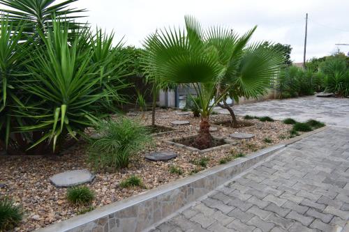 a garden with palm trees and a brick walkway at Grey Oak Holiday House in Bulawayo