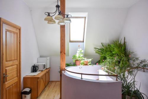 a kitchen with potted plants and a kitchen island at Aismares in Klaipėda