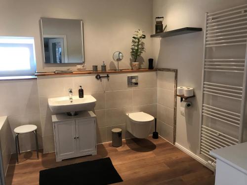 La salle de bains est pourvue d'un lavabo, de toilettes et d'un miroir. dans l'établissement HeideZeit 3, à Neuenkirchen