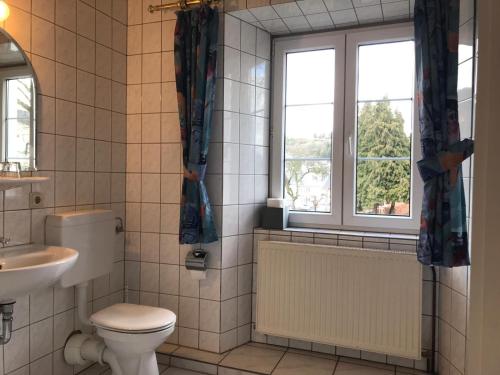 a bathroom with a toilet and a sink and a window at Vogtshof von Wetteldorf in Schönecken