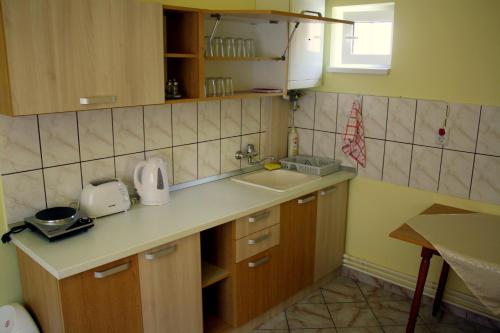 A kitchen or kitchenette at Pensiunea Bobo Panzio