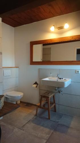 a bathroom with a sink and a toilet at Pension Müllers Mühle in Großenhain